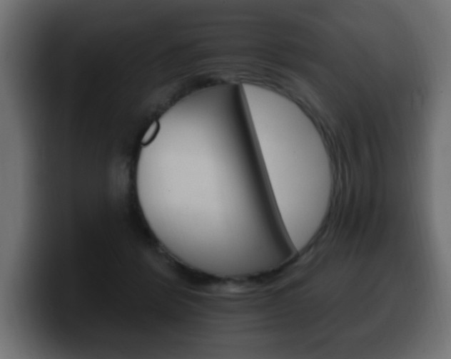 X0000100390412200806060838