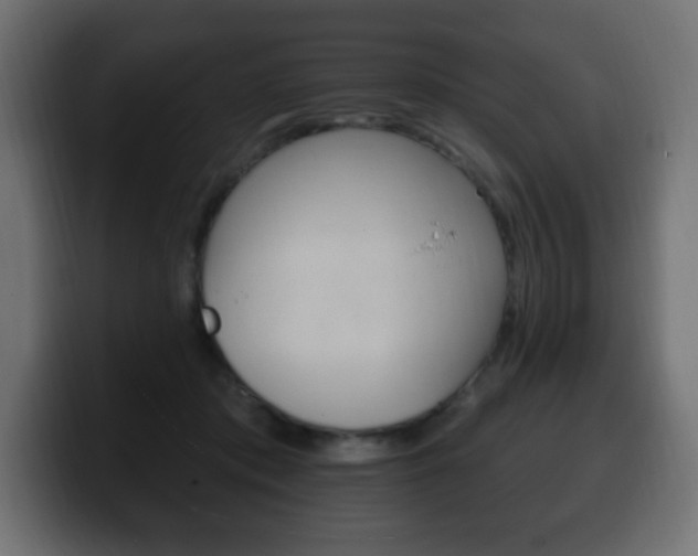 X0000100390413200806060838