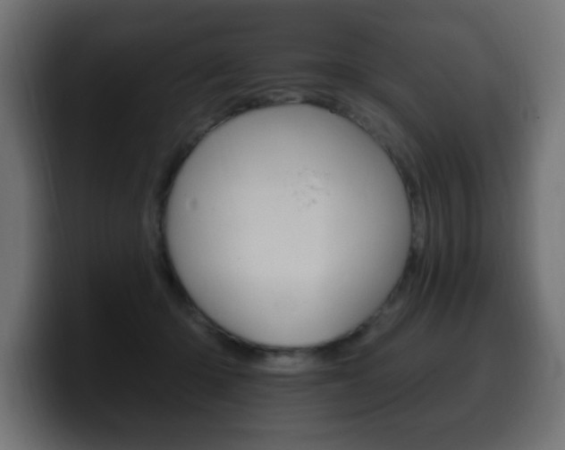 X0000100390414200806060838
