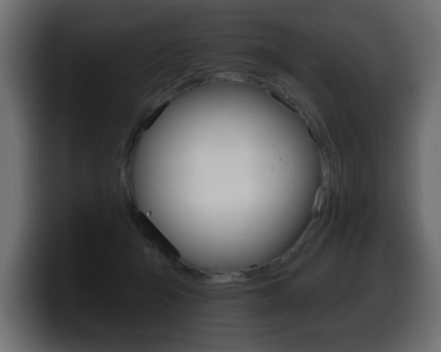 X0000100390415200806060838