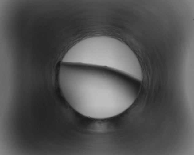 X0000100390416200806060837