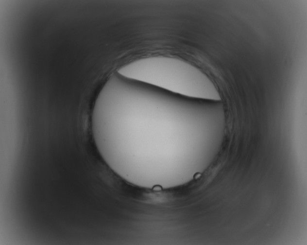X0000100390417200806060837