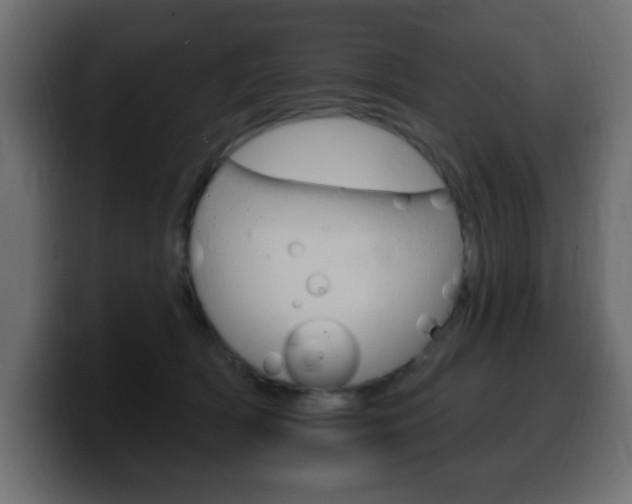 X0000100390418200806060837