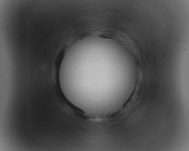X0000100390419200806060837