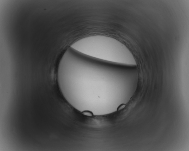 X0000100390420200806060837
