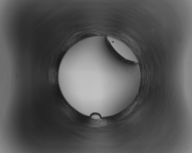 X0000100390421200806060837
