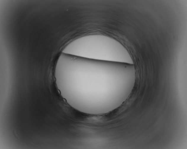X0000100390422200806060837