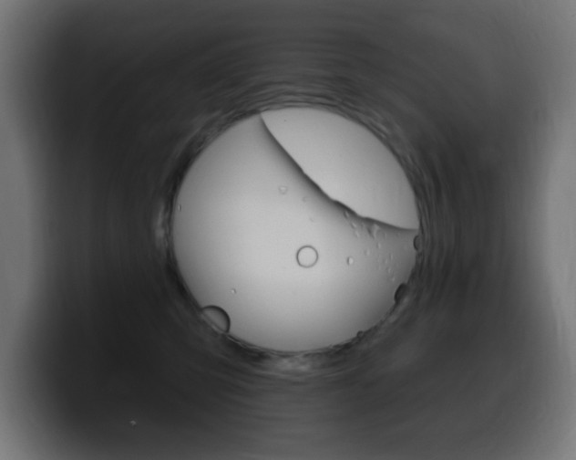 X0000100390423200806060837