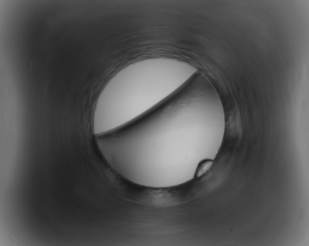 X0000100390424200806060837