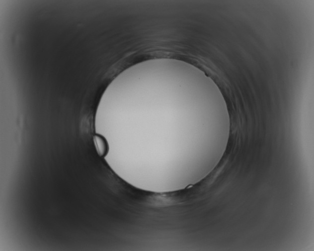 X0000100390425200806060837