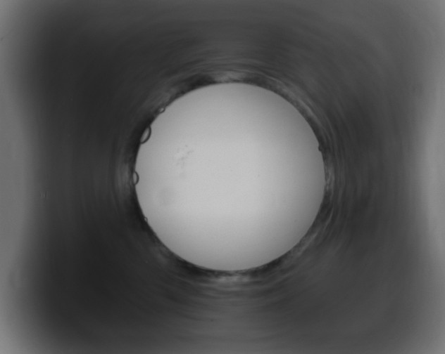 X0000100390426200806060837