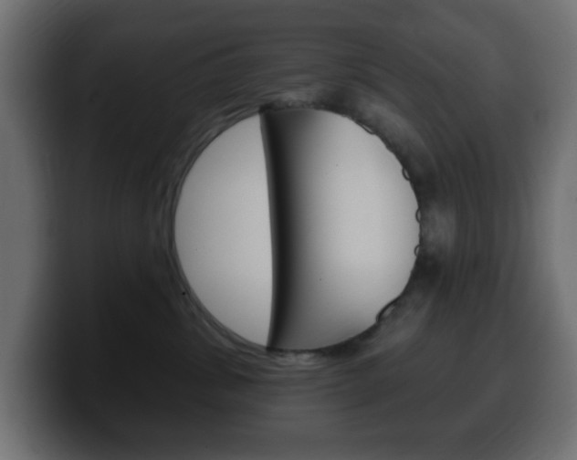 X0000100390428200806060837