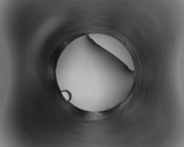 X0000100390429200806060837