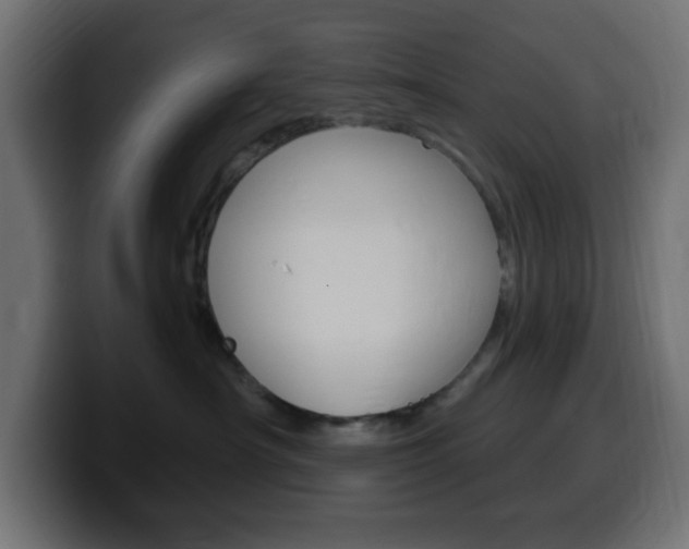 X0000100390430200806060837