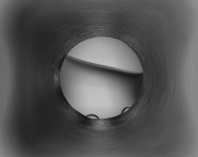 X0000100390432200806060837