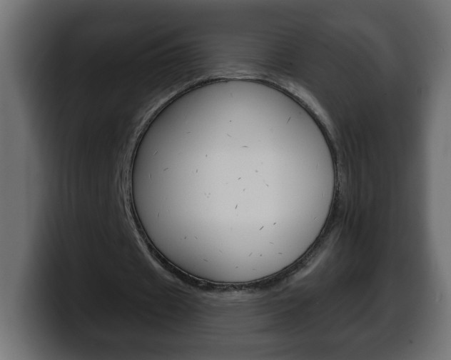 X0000100390433200806060837