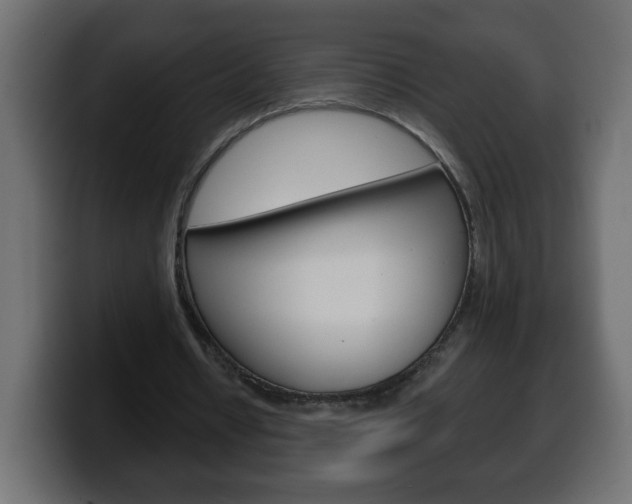 X0000100390434200806060837