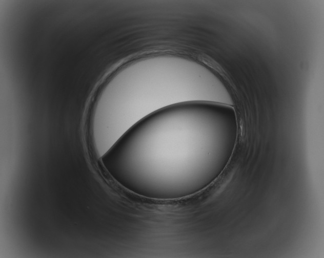 X0000100390436200806060837