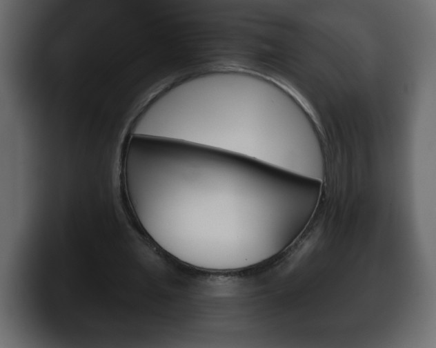 X0000100390437200806060837