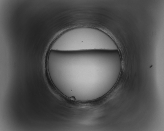 X0000100390438200806060837