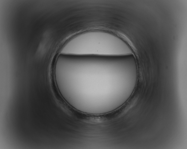 X0000100390439200806060837