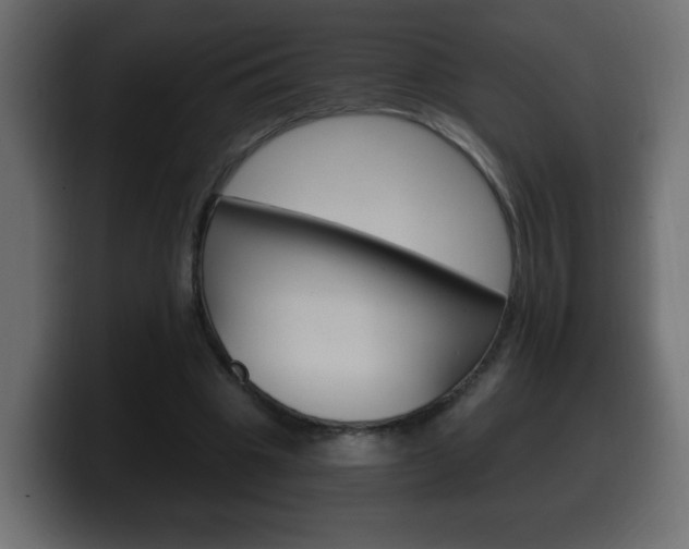 X0000100390441200806060837