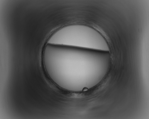 X0000100390442200806060837