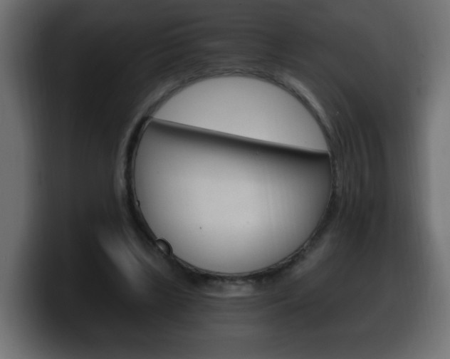 X0000100390443200806060837