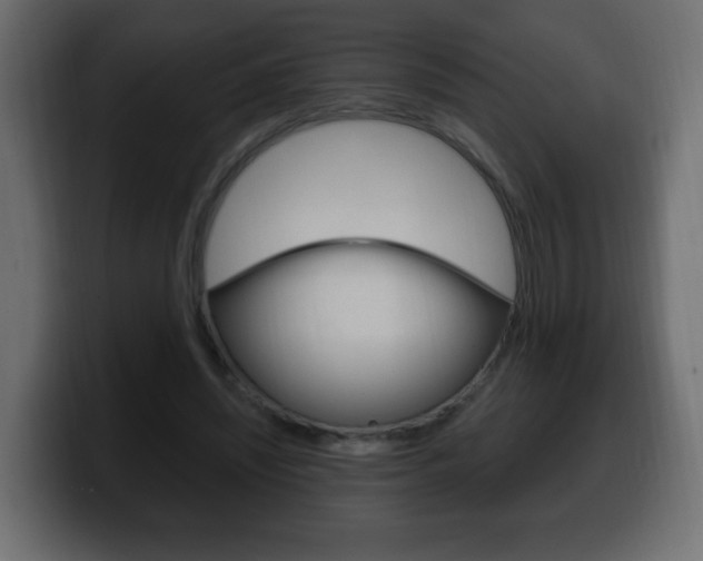 X0000100390444200806060837