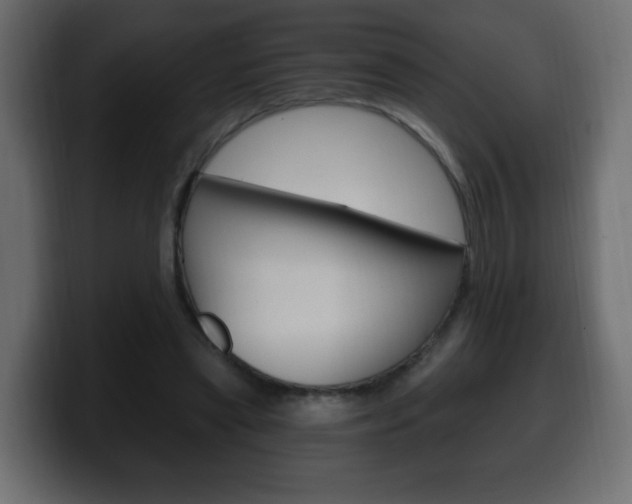 X0000100390445200806060837