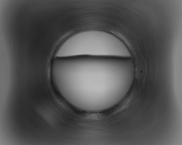 X0000100390446200806060837