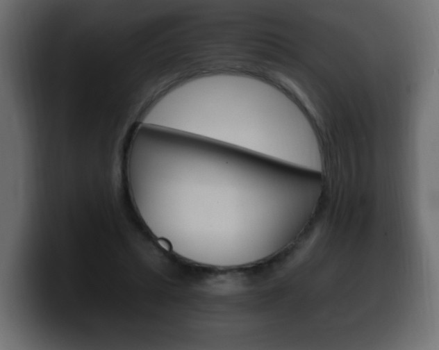 X0000100390447200806060837