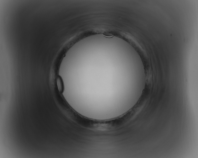 X0000100390448200806060837