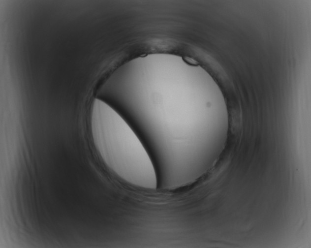 X0000100390451200806060837