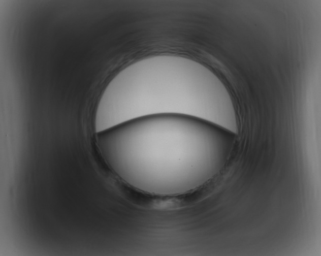 X0000100390452200806060837