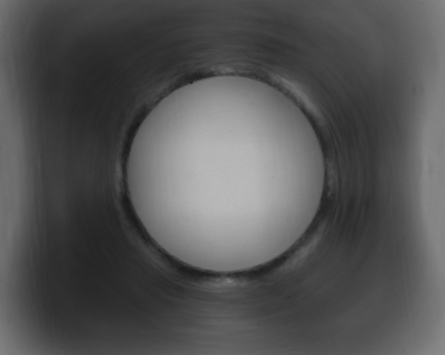 X0000100390453200806060837