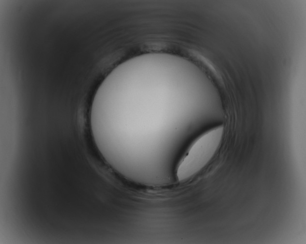 X0000100390455200806060837