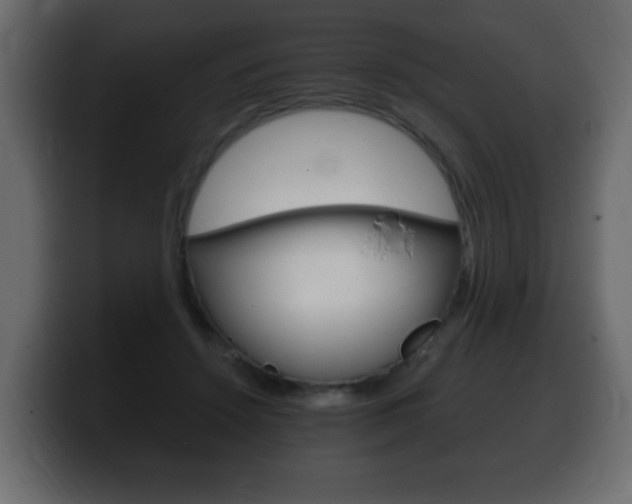 X0000100390456200806060837