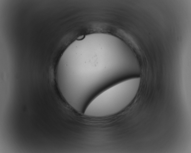 X0000100390457200806060837