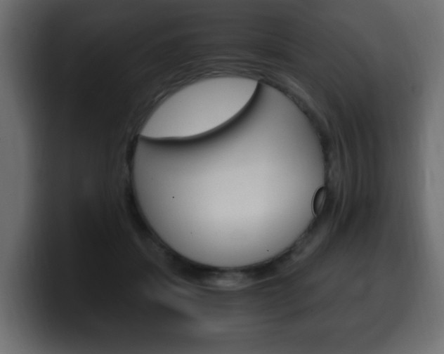 X0000100390459200806060837