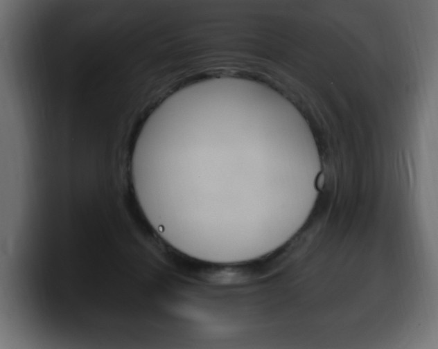 X0000100390460200806060837