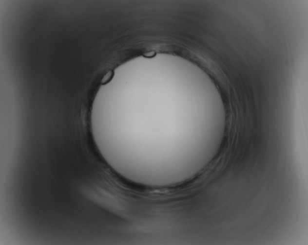 X0000100390461200806060837