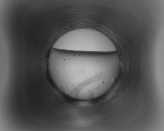 X0000100390462200806060837