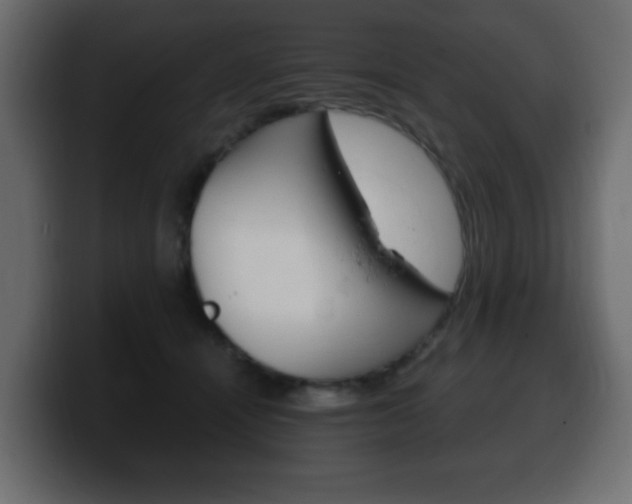 X0000100390464200806060837