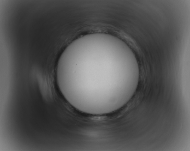 X0000100390465200806060837