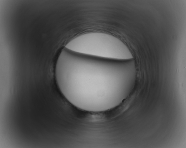 X0000100390466200806060837