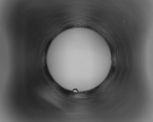 X0000100390468200806060837