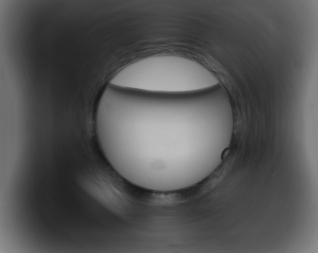 X0000100390469200806060837