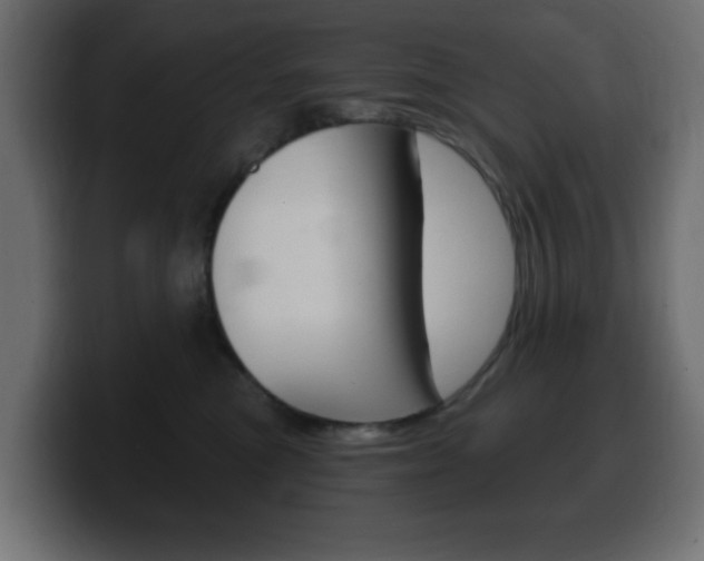 X0000100390473200806060837