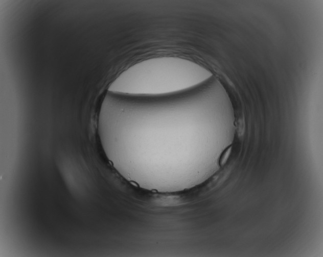 X0000100390476200806060837